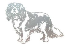 Cavalier Spaniel Stock Art