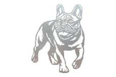 French Bulldog Stock Art