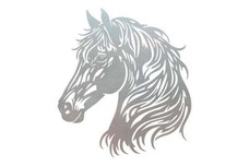 Horse Head Wall Art