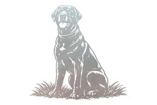 Labrador Wall Art