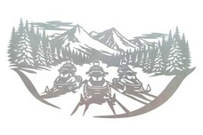 Snowmobiles Wall Art