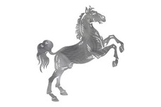 Horse Rearing DXF File