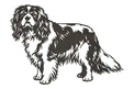 Cavalier Spaniel Stock Art