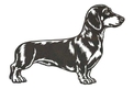 Dachshund Stock Art