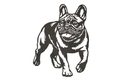 French Bulldog Stock Art