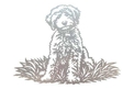 Labradoodle Wall Art