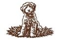 Labradoodle Wall Art