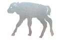 Bison Calf DXF File