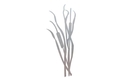 Cattails Stock Art