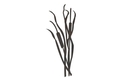 Cattails Stock Art