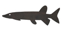 Dogfish Silhouette DXF File