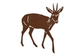 Duiker Antelope DXF File