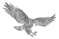 Eagle Stock Art