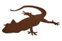 Gecko Profile DXF File