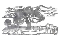 Grazing Horse And Oak Tree DXF File