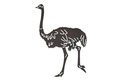 Walking Ostrich DXF File