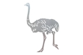 Walking Ostrich DXF File