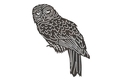 Barred Owl DXF File