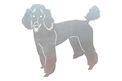 Poodle DXF File