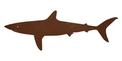 Reef Shark Silhouette DXF File