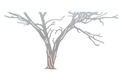 Large Bare Tree DXF File