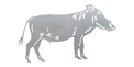 Warthog Side-View DXF File