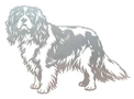 Cavalier Spaniel Stock Art
