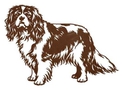 Cavalier Spaniel Stock Art