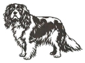 Cavalier Spaniel Stock Art