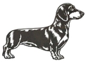 Dachshund Stock Art