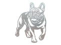 French Bulldog Stock Art