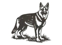 German Shepherd Wall Art