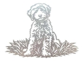 Labradoodle Wall Art