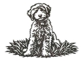 Labradoodle Wall Art