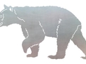 Walking Black Bear DXF File