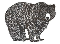 Bear Wall Art