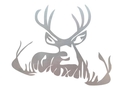 Buck Resting DXF File