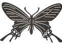 Butterfly Garden Art