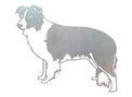 Border Collie DXF File