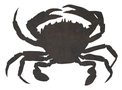 Crab Stock Art