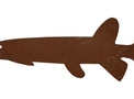 Dogfish Silhouette DXF File