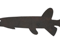 Dogfish Silhouette DXF File