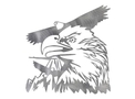 Eagles Wall Art