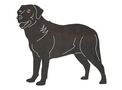 Labrador DXF File