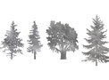 Four Kinds of Tree DXF File