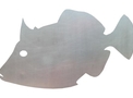 Tropical Trigger Fish DXF File