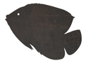 Silhouette of Tropical Fish DXF File